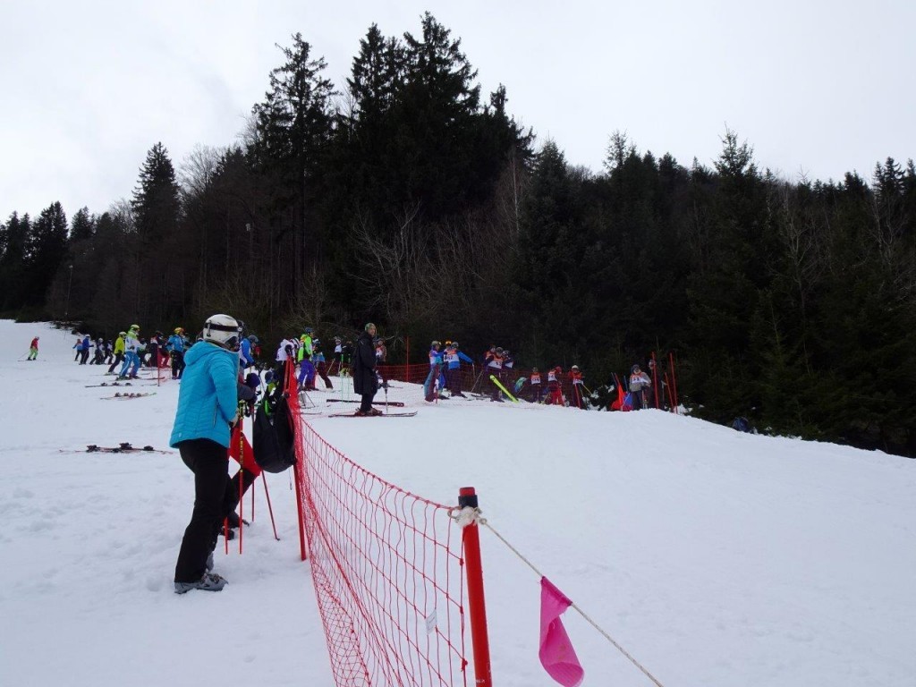 foto: arhiv ZPVD Sever