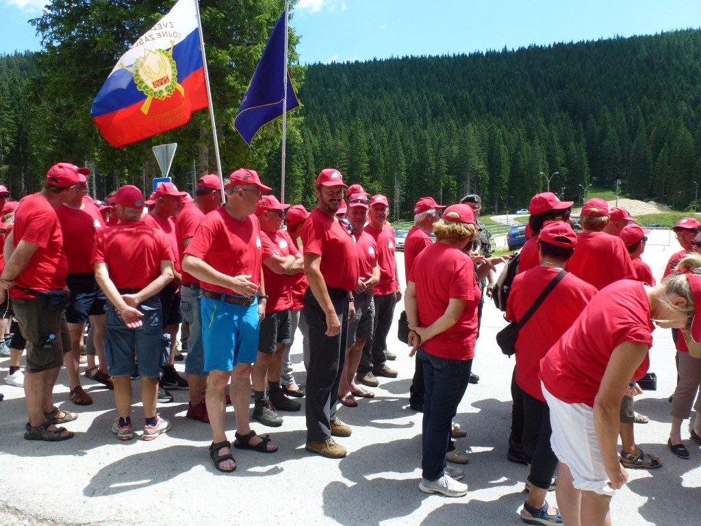 Pokljuka - povorka pohodnikov